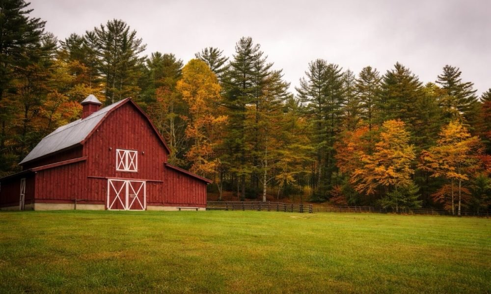 Barn Large-2